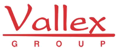 vallex_group_cleaned